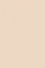 FARROW AND BALL SETTING PLASTER NO. 231 PAINT
